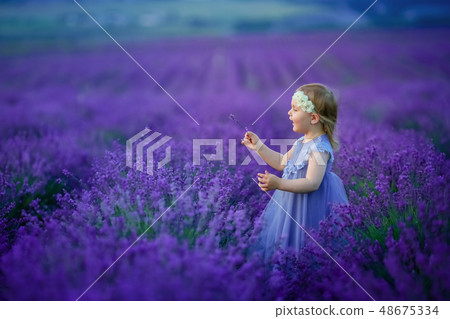 Cute baby in the flowering field of lavender. Cute baby in the flowering field of lavender. 48675334