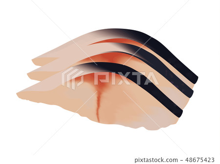 Shark mackerel 48675423