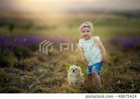 Outdoor portrait of a cute little child, a baby or toddler girl with her dog, a yellow labrador 48675424