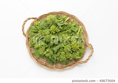 強姦開花 48675604