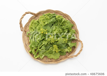 強姦開花 48675606