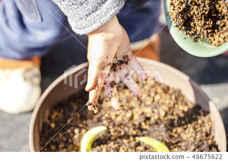 孩子的手把土壤盆栽 孩子的手把土壤盆栽 48675622