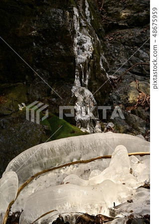 Oiku Chichibu Otaki Frozen in Tochimoto Oizumi immovable waterfall Oiku Chichibu Otaki Frozen in Tochimoto Oizumi immovable waterfall 48675959