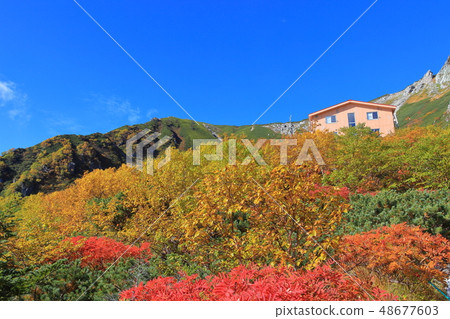 [長野縣]駒岳千疊敷捲曲在秋天的色彩高峰 48677603