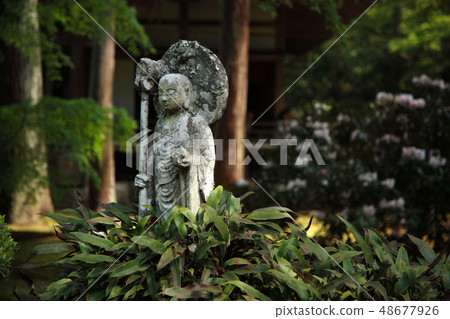 Kyoto Sanzenin guardian Bodhisattva Kyoto Sanzenin guardian Bodhisattva 48677926