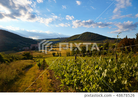 Landscape in Tuscany Landscape in Tuscany 48678526