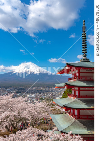 Fuji Tadanori Tower Tomb of Cherry Blossoms in full bloom Shin-kurayama Asama Park Spring image Iki Yoshino Natural background of blue sky Yamanashi Prefecture Fujiyoshida Fuji Tadanori Tower Tomb of Cherry Blossoms in full bloom Shin-kurayama Asama Park Spring image Iki Yoshino Natural background of blue sky Yamanashi Prefecture Fujiyoshida 48678530