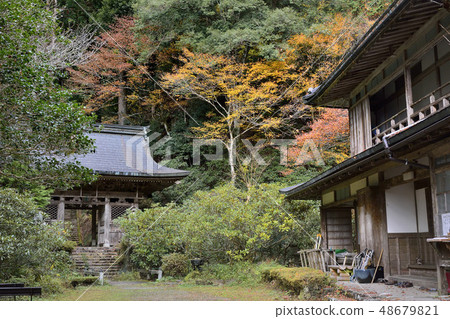 Shigakuin 48679821
