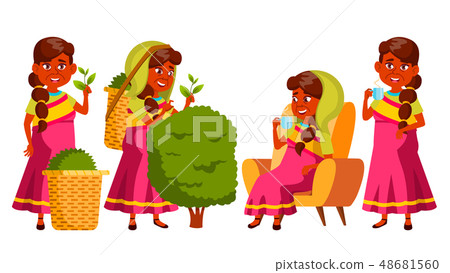 Indian Old Woman Poses Set Vector. Elderly People. Gathering Tea, Production. Natural, Delicious Indian Old Woman Poses Set Vector. Elderly People. Gathering Tea, Production. Natural, Delicious 48681560