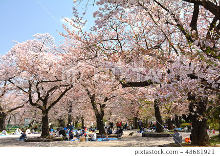 Yokohama - Kukigaya Park 48681921