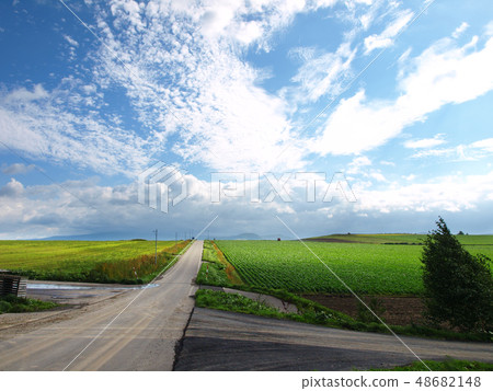 Field of Biei 48682148