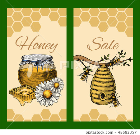 Honey waxing bee and beehive sale flyer. Poster organic honey and apiary, beehive and chamomile 48682357