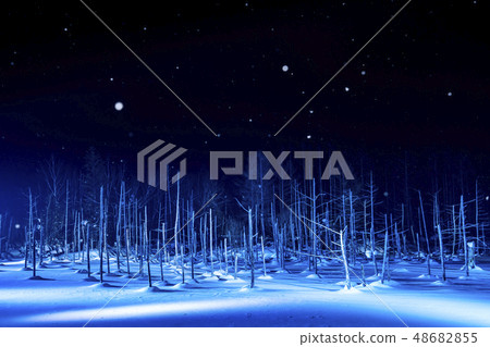 北海道冬天美瑛雪落藍塘 48682855