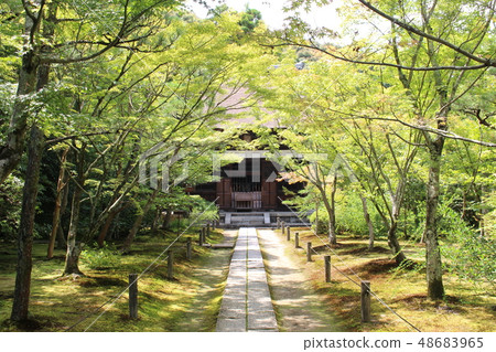 Yokado temple / main hall Yokado temple / main hall 48683965