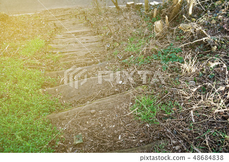 Wooden steps from log and moss, wooden stairs 48684838