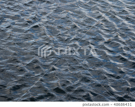 Ripples on the surface of the water. 48686431
