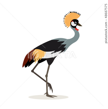 African animal, beautiful colorful crowned crane isolated on white background, exotic bird, vector 48687575