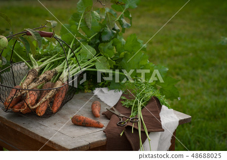 Carrots, first spring summer crop. Healthy food, Carrots, first spring summer crop. Healthy food, 48688025