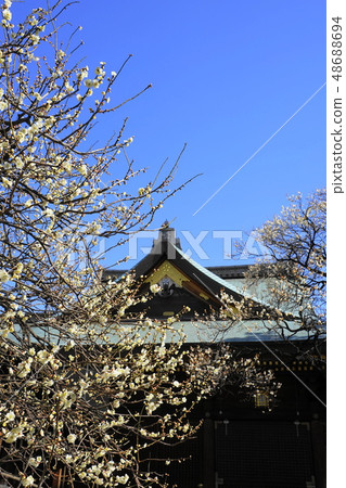 February Yushima Tenman-gu 13 Mei Festival February Yushima Tenman-gu 13 Mei Festival 48688694