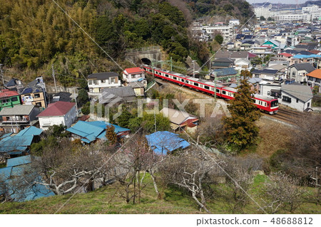 2月Yokosuka 81前Taura Bairin 2月Yokosuka 81前Taura Bairin 48688812