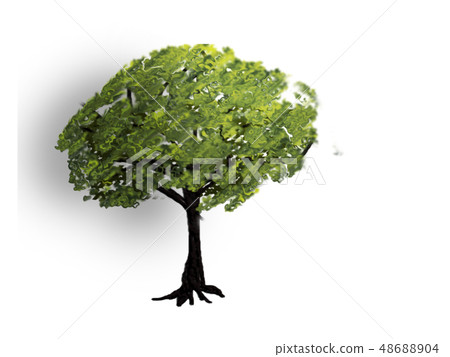 樹在陽光下 樹在陽光下 48688904