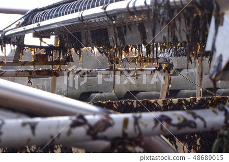 諾里托船 48689015