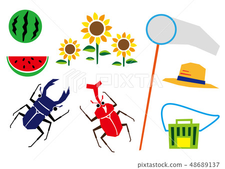 Summer insect collection 48689137