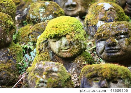 Rakan in Oku Sagano in Kyoto 48689306