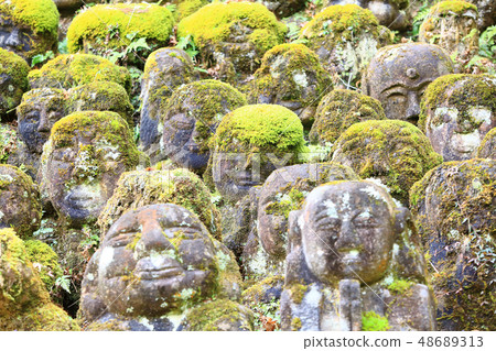 Rakan in Oku Sagano in Kyoto Rakan in Oku Sagano in Kyoto 48689313