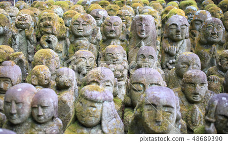 Rakan in Oku Sagano in Kyoto Rakan in Oku Sagano in Kyoto 48689390