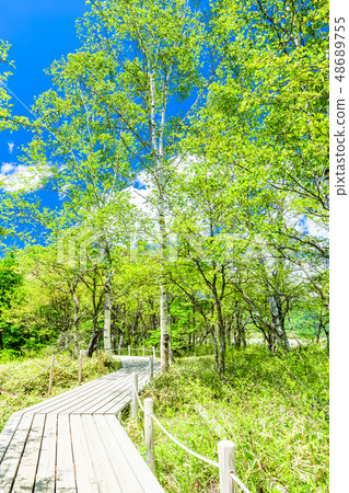 Senkogahara of Nikko Spring 48689755