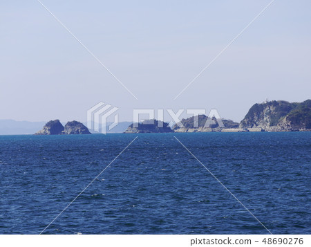Miscellaneous 48690276