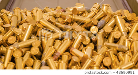Some golden ammunition inside a container close up 48690991