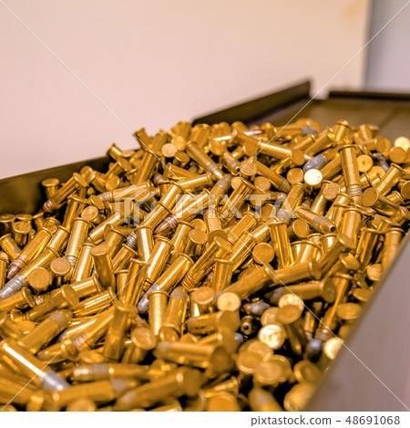 Shiny golden bullets inside a metal container 48691068