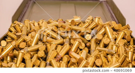Shiny gold plated bullets inside an open container Shiny gold plated bullets inside an open container 48691069