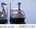 Swan Boat 48691194