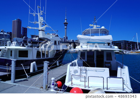Auckland's Sky Tower and Viaduct Harbor 48693343