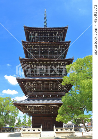 [香川縣]晴朗天氣下的禪寺寺五層寶塔 48693572