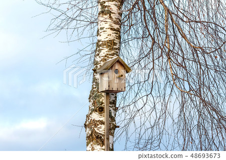 Nesting box on a tree Nesting box on a tree 48693673