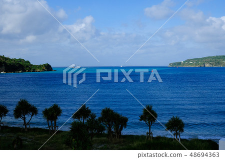 高麗島 48694363
