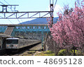 春天來了185系列車 48695128