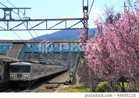 春天來了185系列車 春天來了185系列車 48695128