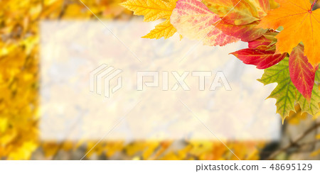 Autumn Postcard for Design Autumn Postcard for Design 48695129