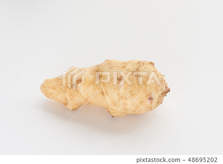 Jerusalem artichoke 48695202