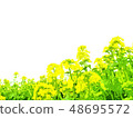 春天強姦開花背景 48695572