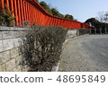 Fukutoku Inari神社 48695849