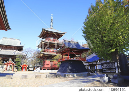 Itabashi Fudosan Mieke Tower茨城縣筑波未來市 48696161