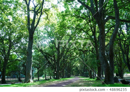 Cornwall park in Oakland park Cornwall park in Oakland park 48696235
