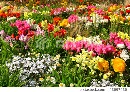 Hill Park where Yokohama · Harbor can be seen Hill Park where Yokohama · Harbor can be seen 48697486