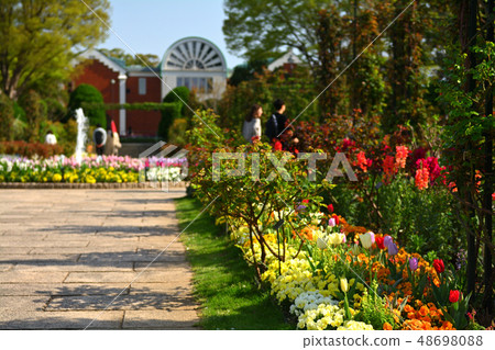 Hill Park where Yokohama · Harbor can be seen 48698088